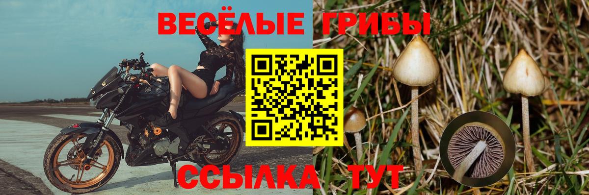 Лабинск  Псилоцибиновые грибы ЛСД  Вход с VPN 